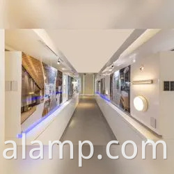 Luz do painel de LED redondo com eficiência energética para espaços modernos